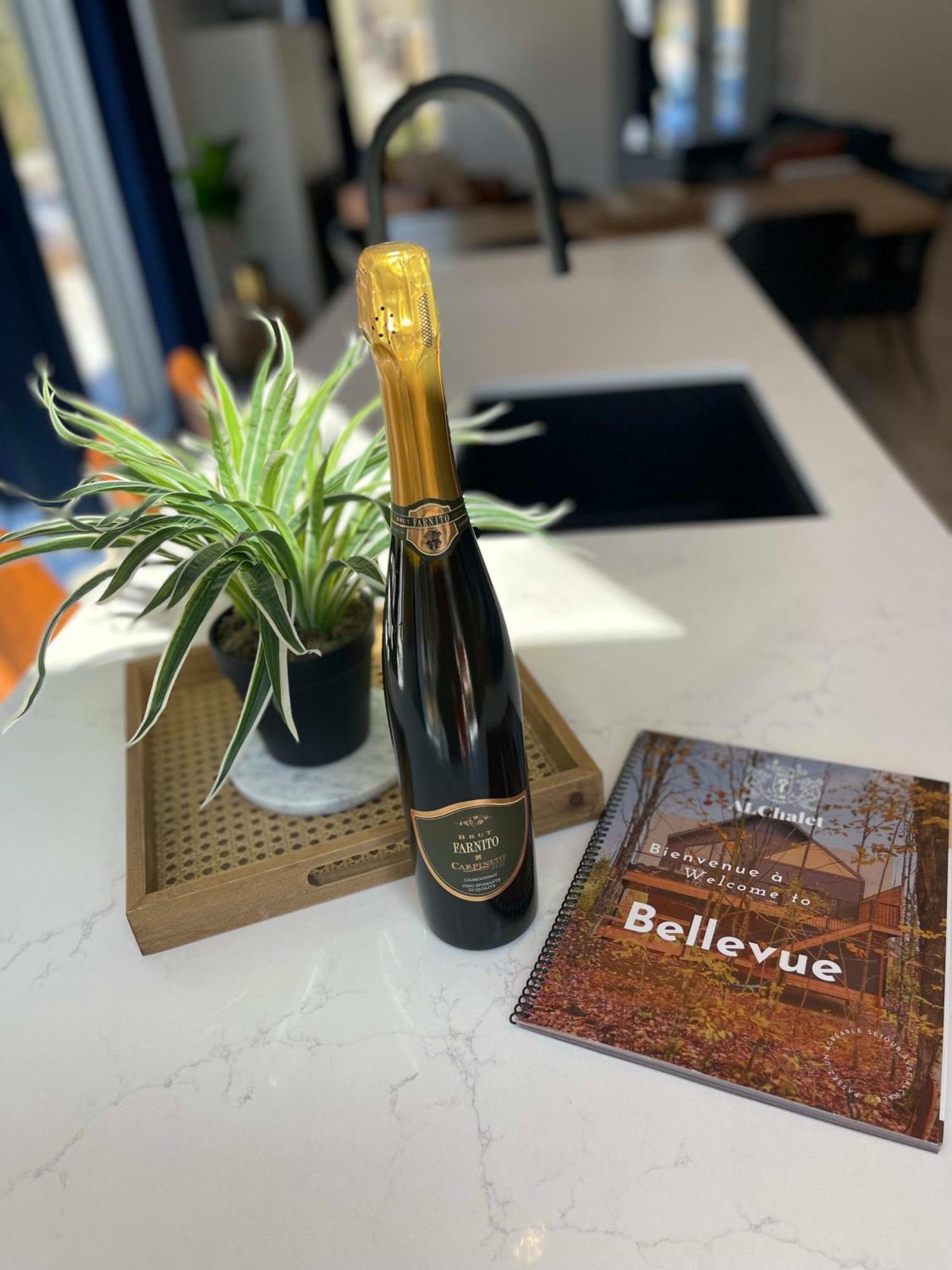 Chalet Bellevue Luxe Avec Spa Et Local A Velo Pont-Rouge Eksteriør billede